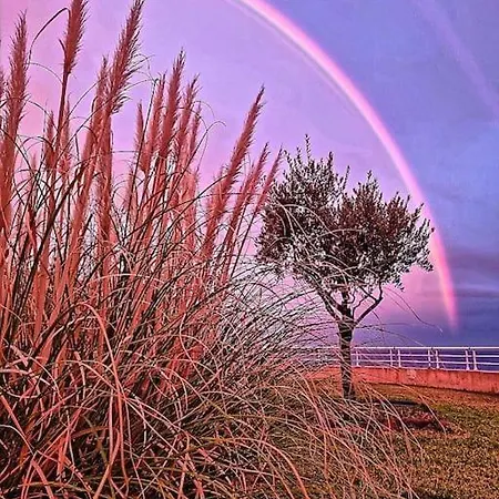 Location Cap Neree Acces Direct, Piscine Et Jardin, Le Trayas Entre Cannes Et Saint-raphael Apartment